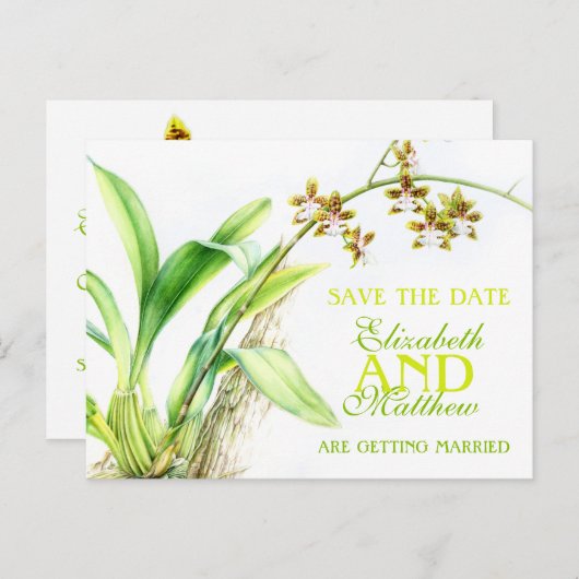 Orchideengrün bemalte Blume Save the Date Karte (Vorne/Hinten)