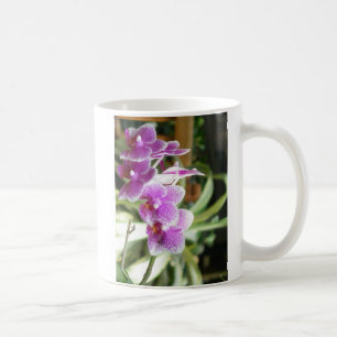 Orchideenkaffee-Tassen-Blumen Kaffeetasse