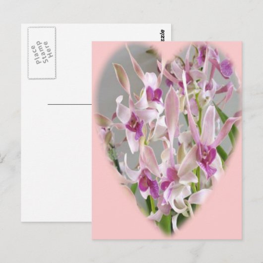 Orchideenkarte Postkarte (Vorne/Hinten)