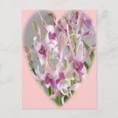 Orchideenkarte Postkarte (Vorderseite)