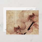 Orchideenkarte Postkarte (Vorne/Hinten)