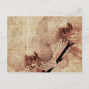 Orchideenkarte Postkarte