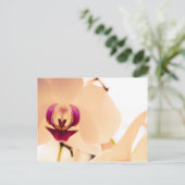 Orchideenlächeln Postkarte (Stehend Vorderseite)