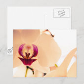 Orchideenlächeln Postkarte (Vorne/Hinten)