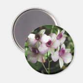 Orchideenmagnet Magnet (Vorderseite/Rückseite)