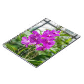 Orchideennotizbuch Notizblock (Linke Seite)