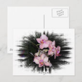 Orchideenrahmen 1 postkarte (Vorne/Hinten)