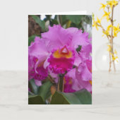 Orchideenschönheit Karte (Gelbe Blume)