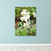 Orchideenschönheit Leinwanddruck (Insitu (Holzboden))