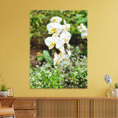 Orchideenschönheit Leinwanddruck (Insitu (Wohnzimmer))