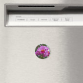 Orchideenschönheit Magnet (In Situ (Geschirrspüler))
