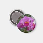 Orchideenschönheit Magnet (Vorderseite/Rückseite)