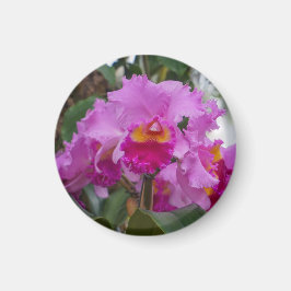 Orchideenschönheit Magnet