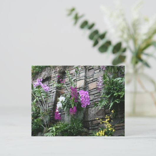 Orchideenwand Postkarte (Stehend Vorderseite)