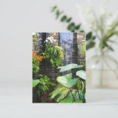 Orchideenwand Postkarte (Stehend Vorderseite)