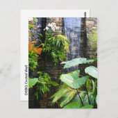 Orchideenwand Postkarte (Vorne/Hinten)