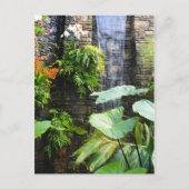 Orchideenwand Postkarte (Vorderseite)