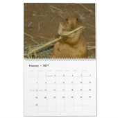 Orchideliques 2017 Tier-Kalender Kalender (Feb 2027)