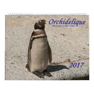 Orchideliques 2017 Tier-Kalender Kalender