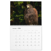 Orchideliques 2017 Tier-Kalender Kalender (Jan 2026)