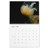 Orchideliques 2017 Tier-Kalender Kalender (Mär 2027)