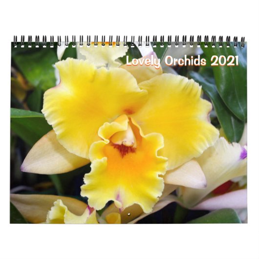 Orchids 2021 Calendar Kalender (Titelbild)