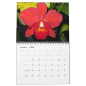 Orchids 2021 Calendar Kalender (Jan 2026)