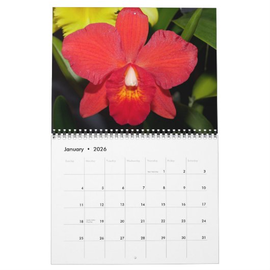 Orchids 2021 Calendar Kalender (Jan 2026)