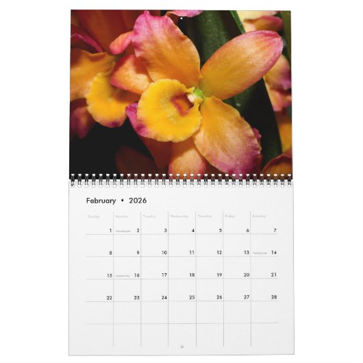 Orchids 2021 Calendar Kalender (Feb 2026)