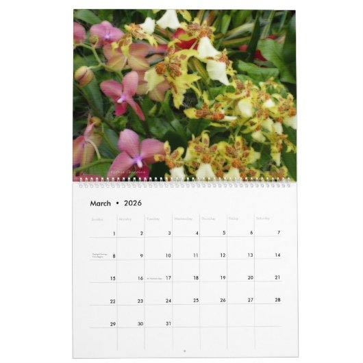 Orchids 2023 Calendar Kalender (Mär 2026)