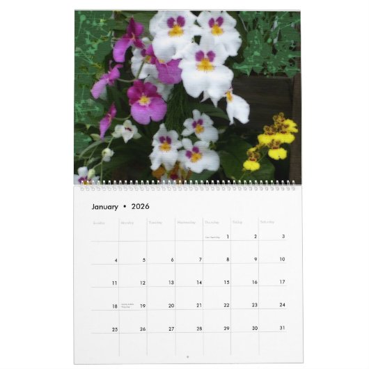 Orchids 2023 Calendar Kalender (Jan 2026)