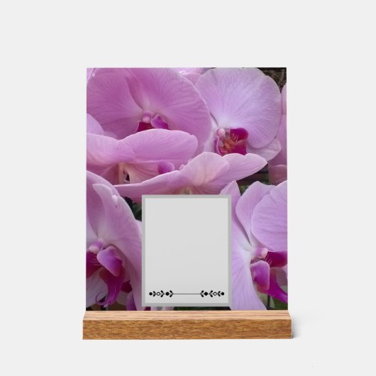 Orchids Acrylschild (Vorderseite)
