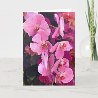 Orchids Blank Note Card Dankeskarte