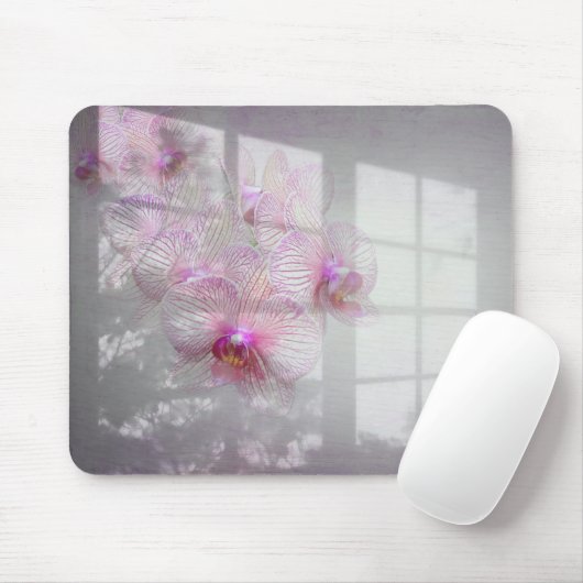 Orchids Blüten im Fensterschatten Mousepad (Mit Mouse)