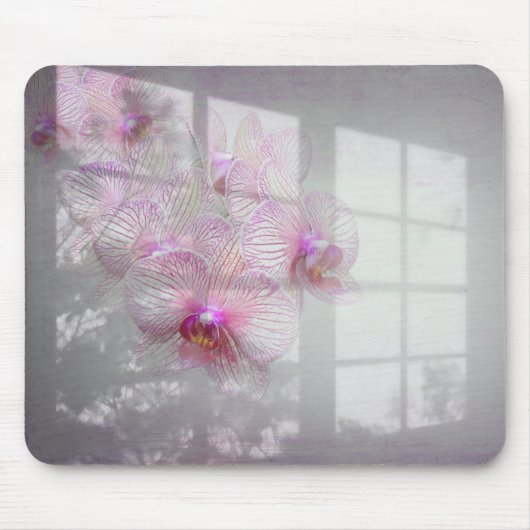 Orchids Blüten im Fensterschatten Mousepad (Vorne)