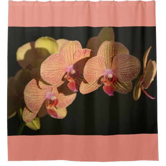 Orchids Coral Pink Fotografy Floral Duschvorhang (Vorderseite)