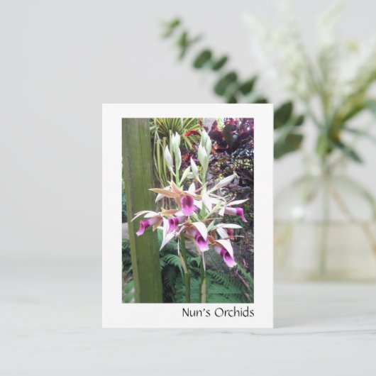 Orchids der Nonnen Postkarte (Stehend Vorderseite)