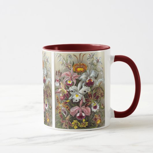 Orchids Ernst Haeckel Fine Art Tasse (Rechts)