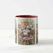 Orchids Ernst Haeckel Fine Art Tasse (Zentrum)