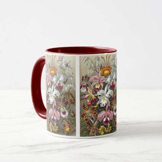Orchids Ernst Haeckel Fine Art Tasse (Vorderseite Links)