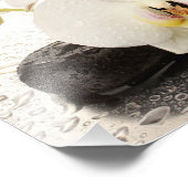 Orchids Foto Print (Ecke)