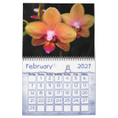 Orchids-Fotokalender Kalender (Feb 2027)