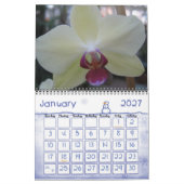 Orchids-Fotokalender Kalender (Jan 2027)