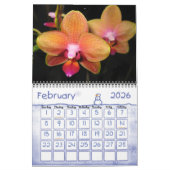 Orchids-Fotokalender Kalender (Feb 2026)