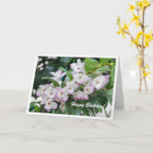 Orchids Geburtstagskarte Karte (Gelbe Blume)