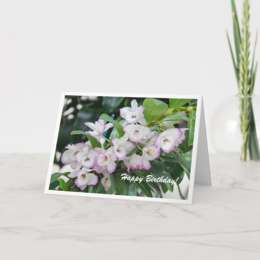 Orchids Geburtstagskarte Karte (Vorderseite)