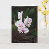 Orchids Grußkarte Karte (Gelbe Blume)