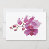Orchids Inexpensive Hochzeitspakete Set Kits (Vorderseite)