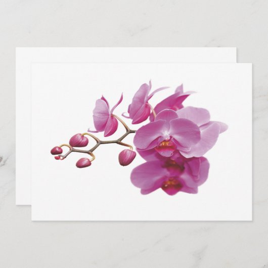 Orchids Inexpensive Hochzeitspakete Set Kits (Vorne/Hinten)