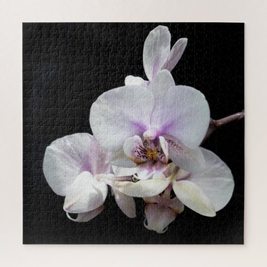 Orchids Jigsaw Puzzle (Vertikal)